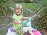 DSC00116.JPG (15811 bytes)