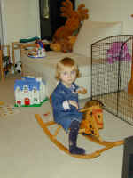 020115NMS_horse.jpg (99419 bytes)